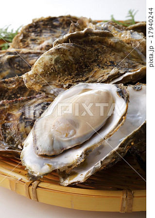 牡蠣 牡蠣 17940244