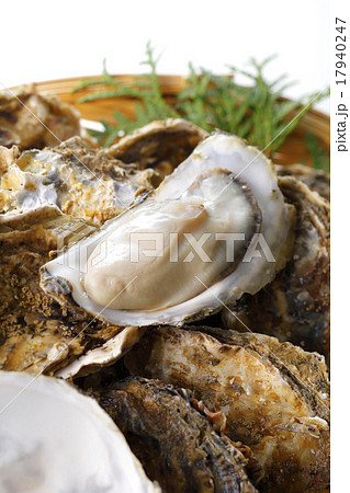 牡蠣 牡蠣 17940247