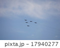 ブルーインパルス 17940277
