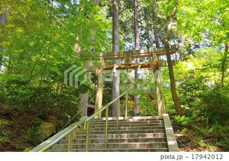 京都 猿丸神社 京都 猿丸神社 17942012