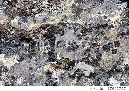 Gray rock surface with lichen 17942797