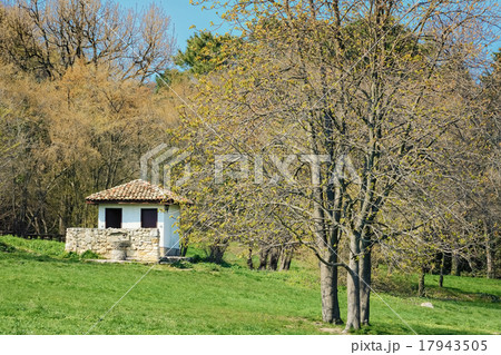 Spring Spring 17943505