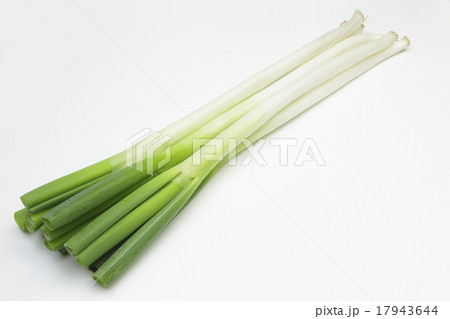 国内産長ねぎ 17943644
