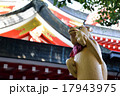 京浜伏見稲荷神社 17943975