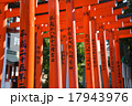 京浜伏見稲荷神社 17943976