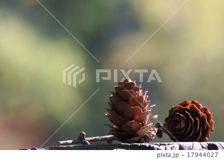 紅葉 紅葉 17944027