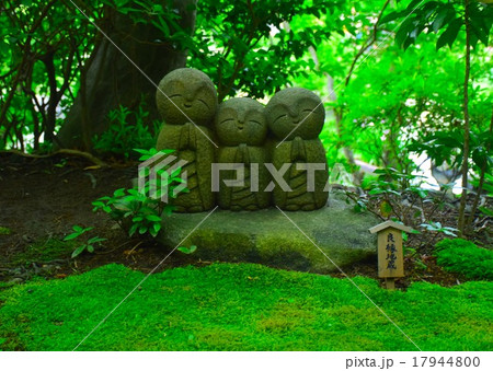 ほっこりしましょ 17944800