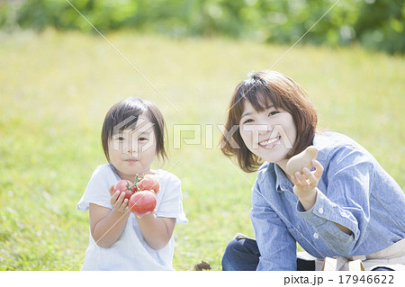 親子で家庭菜園 親子で家庭菜園 17946622