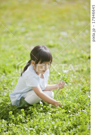 四ツ葉のクローバーを探す女の子の写真素材 四ツ葉のクローバーを探す女の子の写真素材