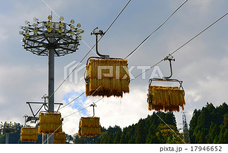 天空の魚沼コシヒカリ 17946652