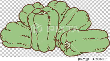 ピーマン ピーマン 17946668