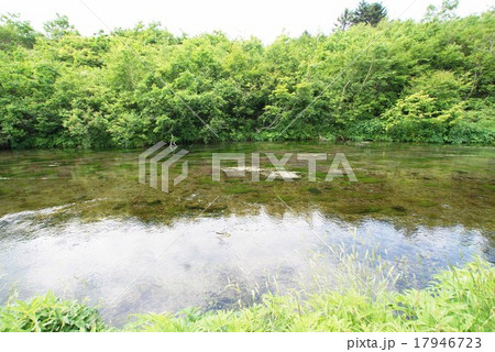 グダリ沼 グダリ沼 17946723