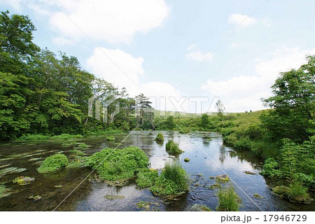 グダリ沼 グダリ沼 17946729