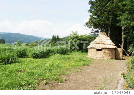 デンデラ野 17947048