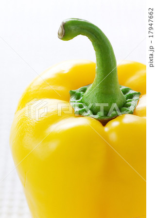 パプリカ2 17947662