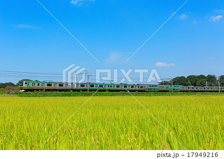 通勤列車と秋の田園風景 17949216