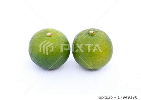 すだち すだち 17949330