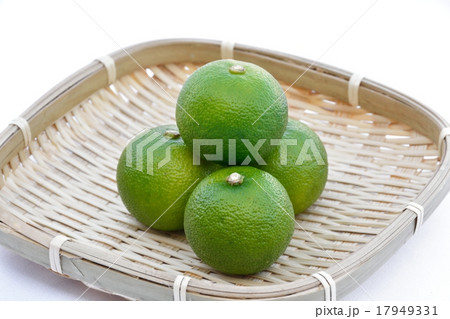 すだち すだち 17949331
