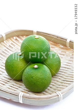 すだち すだち 17949332