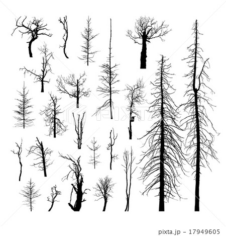 Set of dead trees 17949605