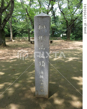 生田緑地にある枡形山の山頂 17950261