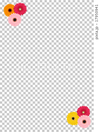 ガーベラの花フレームのイラスト素材
