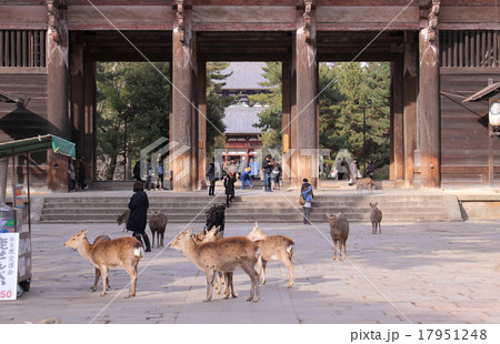 「東大寺 南大門」、門のむこうは中門と大仏殿 17951248