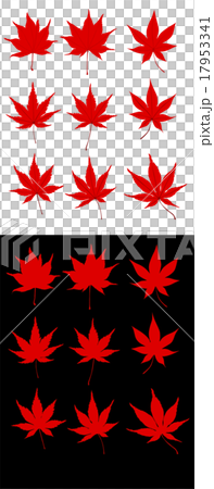 楓樹輪廓 17953341