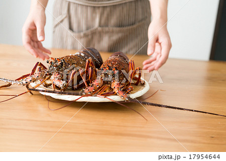 伊勢海老 17954644