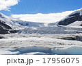 コロンビア大氷原 17956075