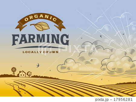 Organic Farming Landscape 17956281