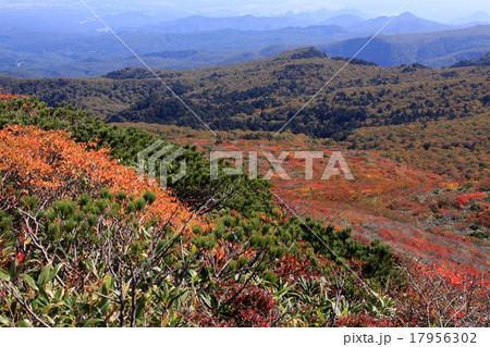 船形山　秋 17956302