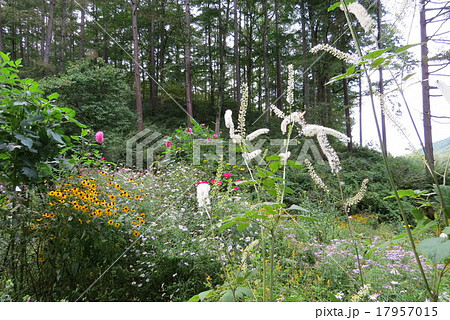 山庭、 花庭、 山庭、 花庭、 17957015