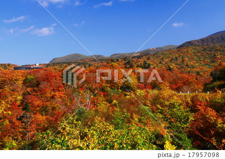須川高原の紅葉 須川高原の紅葉 17957098