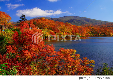 紅葉の須川湖と栗駒山 17957100