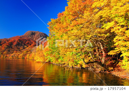 十和田湖の紅葉 17957104