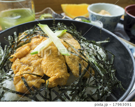 古宇利島名物のウニ丼の写真素材