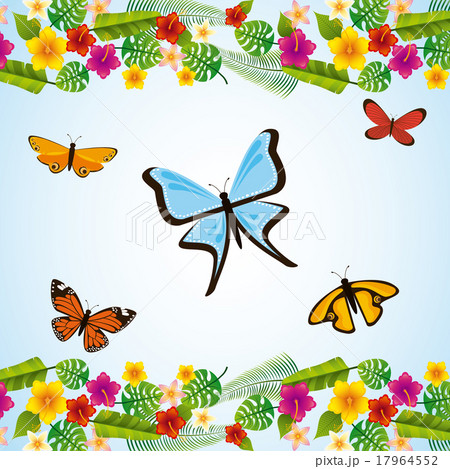 tropical flowers tropical flowers 17964552