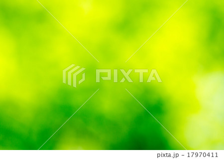 natural green background 17970411