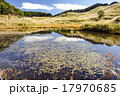 すすき　砥峰高原」 17970685