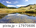すすき　砥峰高原」 17970686