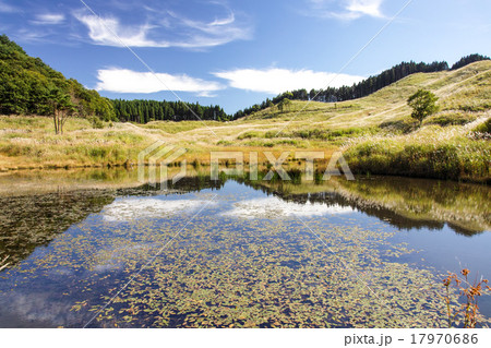 すすき　砥峰高原」 17970686