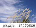 すすき　砥峰高原」 17970689
