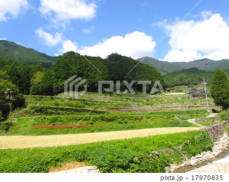 岩座神の棚田(いさりがみのたなだ) 岩座神の棚田(いさりがみのたなだ) 17970835