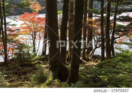 湖畔の紅葉 湖畔の紅葉 17970887