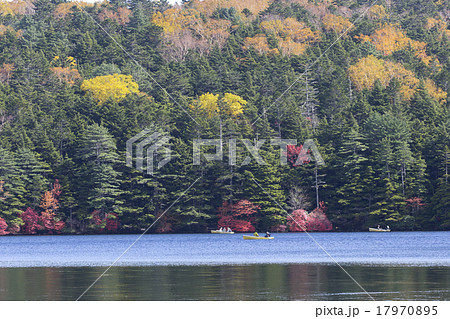 紅葉の白駒池 17970895