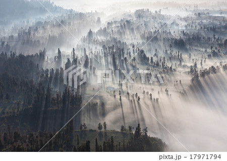 Sunrise in forest 17971794