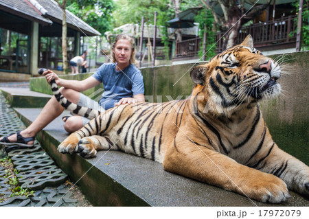 Guy hugging tiger 17972079