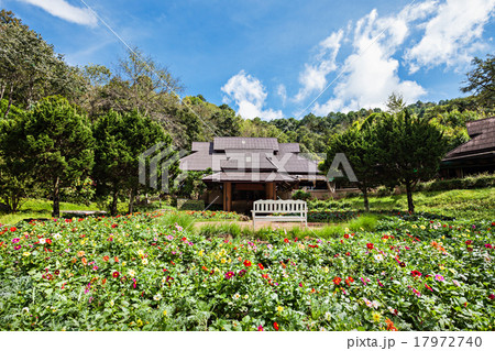Doi Ang Khang Doi Ang Khang 17972740