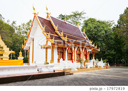Phra That Doi Tung 17972819